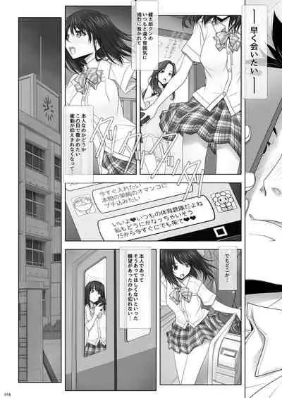 [IRODORI (SOYOSOYO)] Netorare no Toriko Kasumi no Kimochi [Digital]