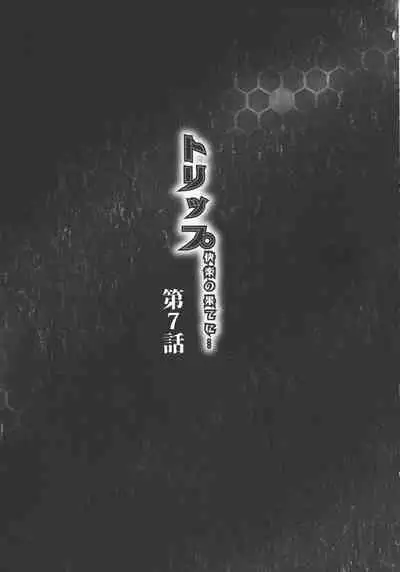 [Akane Shuuhei] Trip Kairaku no Hate ni…[Chinese][雷电将军汉化]