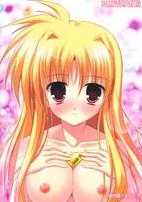 (SC40) [Upa Goya (Endori)] Secret training (Mahou Shoujo Lyrical Nanoha)