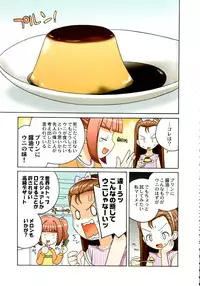 (C72) [Kacchuu Musume (Various)] Stamina Princess (Various)