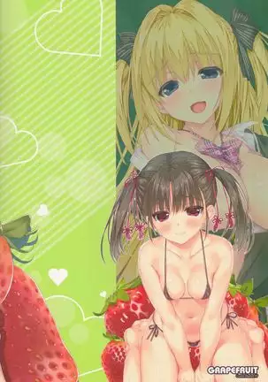 GRAPEFRUIT / Assorted fruits 3