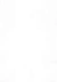 (C56) [Jushoku to Sono Ichimi (Aramaki Shake, Tomozawa Shou)] Sakura Kaijuu Janai Mon!! (Cardcaptor Sakura, Sakura Taisen)