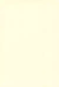 (Triplet Rhapsody 8) [Sumi kara Sumi made (Gabyo Nuno)] Totechite Ofuro (Mitsudomoe)