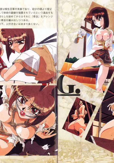 V.G.Perfect Collection Illustrations