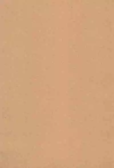 (C102) [CHERRY BLOSSOMS (Yuri)] GRM Shachou no Natsu wa Beach de Ichaicha shiyou (Phantasy Star Universe) [Chinese] [逃亡者×真不可视汉化组]