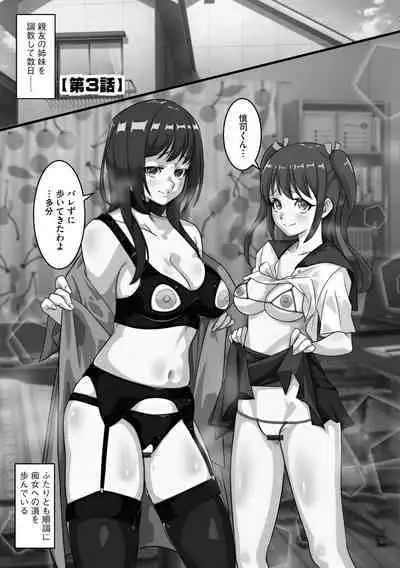 Netorare Shimai Koukai Harem