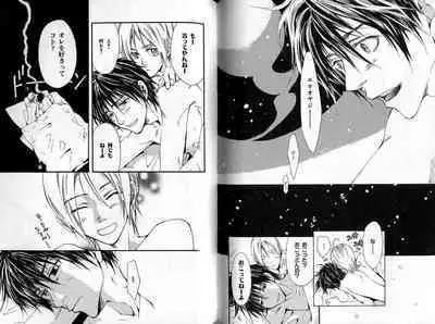 B-BOY Zips 35 スウィートホーム特集