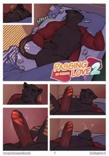 Passing Love 2- Meesh