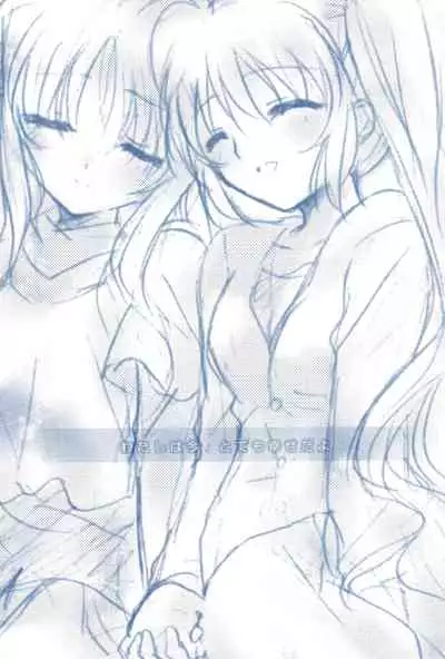 (C85) [Ameiro (Nanashiki)] Love Forever -NanoFei nano Sairoku-shuu 2- (Mahou Shoujo Lyrical Nanoha)