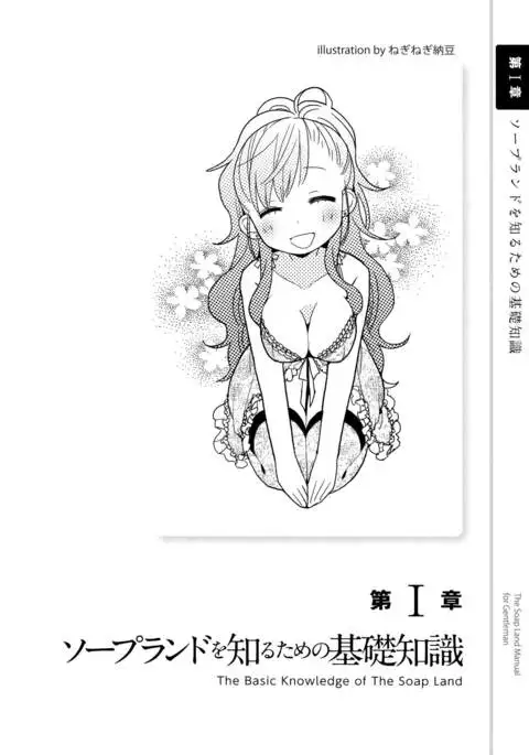 Illustrated Manual of Sex Industry for Beginners With Detailed Explanations of Soaplands