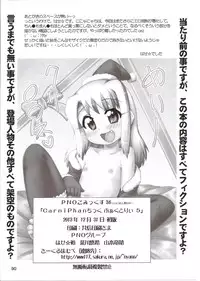 (C85) [PNO Group (Hase Yuu, Hikawa Yuuki, Yamamoto Ryuusuke)] Carni☆Phan tic factory 5 (Fate/stay night, Fate/zero)