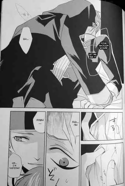 [Yamada Meiji] Tactician + Dark King (Fire Emblem Awakening) [English]