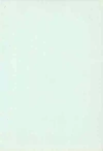 YOSIDAYA HONPO VOL.3