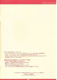 [Reverse Noise (Yamu)] Otona Muke Hakurei Reimu (Touhou Project)