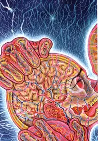 [Keisuke Itagaki] Grappler Baki SAGA (The Romantic Contact chapter) [JAP]