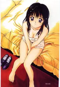 [Tanaka Yutaka] Taisetsu na Koi