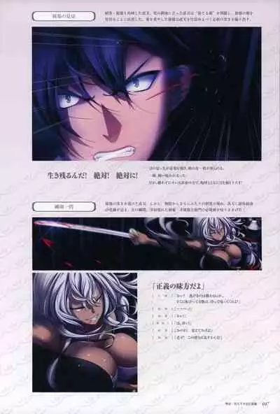 ChuSinGura 46+1 Official Visual Fan Book