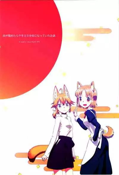 Me Ga Sametara kemomimishoujo ni natteita ohanashi