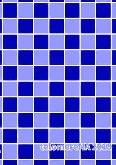 [telomereNA (Gustav)] Maid Shujuu Lovers (THE IDOLM@STER CINDERELLA GIRLS) [Chinese] [转尾巴猫汉化] [Digital]