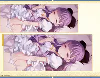 Eiyuu＊Senki GOLD Visual Fanbook