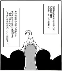 [Kame no Onaka] CORRUPT&ROTTEN Cutey Liddy no Funiku no Andouille "Sono San"