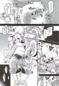 (C92) [Ririo Gatto (Kaenuco)] Bokura no Himegoto (Granblue Fantasy)