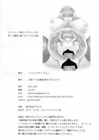 (C89) [HELL-ION (Yoshino.)] IN TO DELIRIUM (Touhou Project) [Chinese] [endlesslocus个人汉化]