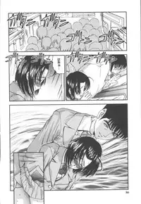 [SHION] Black Diamond