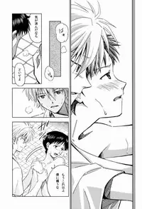 [Cassino (Kyoku Kouro Lily, Mayama Satori, kcca )] MAUVE. (Neon Genesis Evangelion)