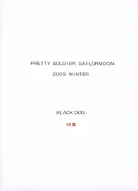 [BLACK DOG (Kuroinu Juu)] TOWER OF GRAY (Bishoujo Senshi Sailor Moon) [2010-02-22]