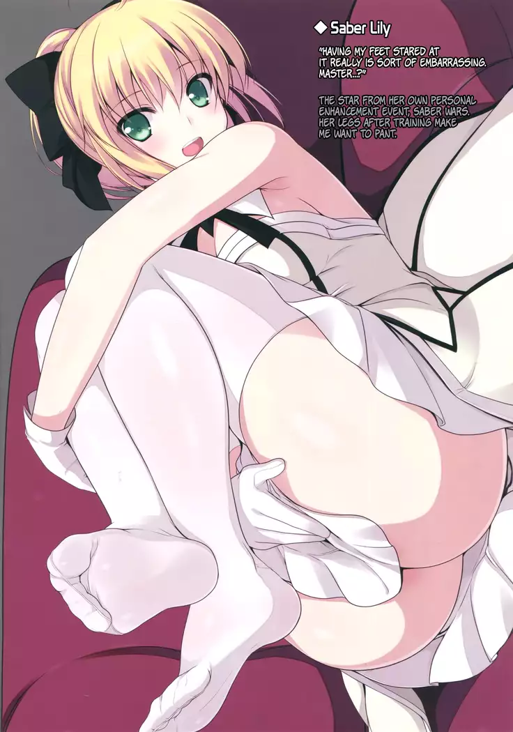 FGO No Ashibon | FGO Foot-Book