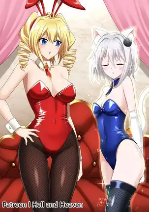 小猫 x レイヴェル
