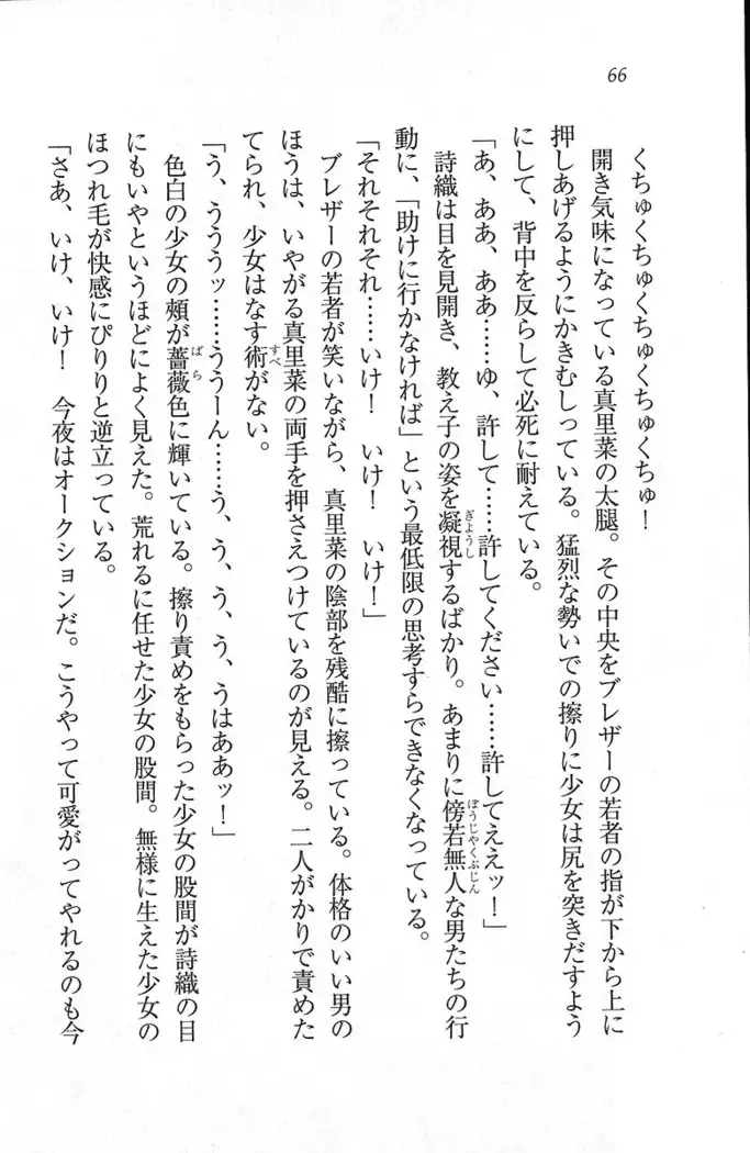 解放区～痴漢ハーレム