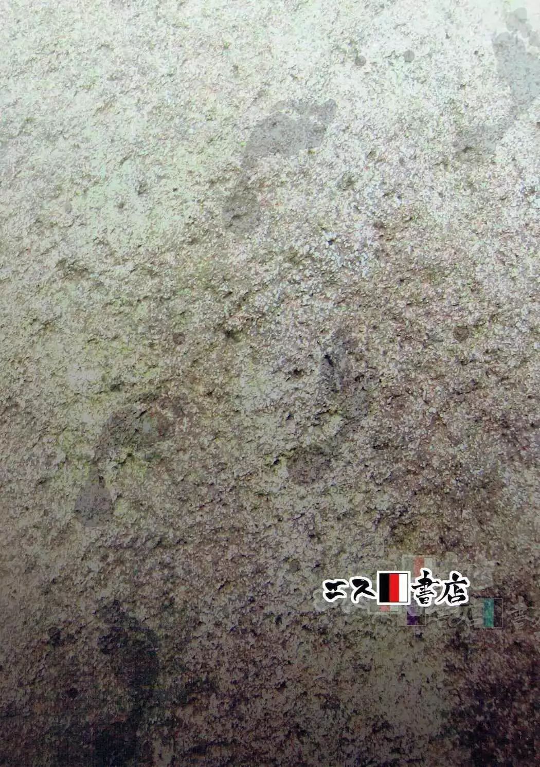 ハダシのあしおと