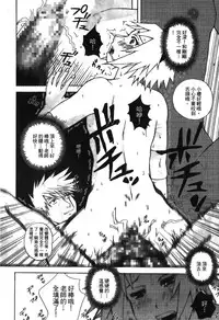 [Kishimoto Saisi] naruto ninja biography vol.05 (naruto) [chinese]