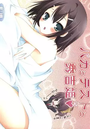 Baka to Test to Hideyoshi Hime