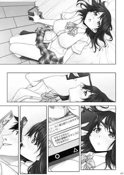 [IRODORI (SOYOSOYO)] Netorare no Toriko Kasumi no Kimochi [Digital]