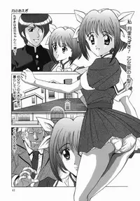 [Masakado Tsukasa] Seijunha Kougyakukei