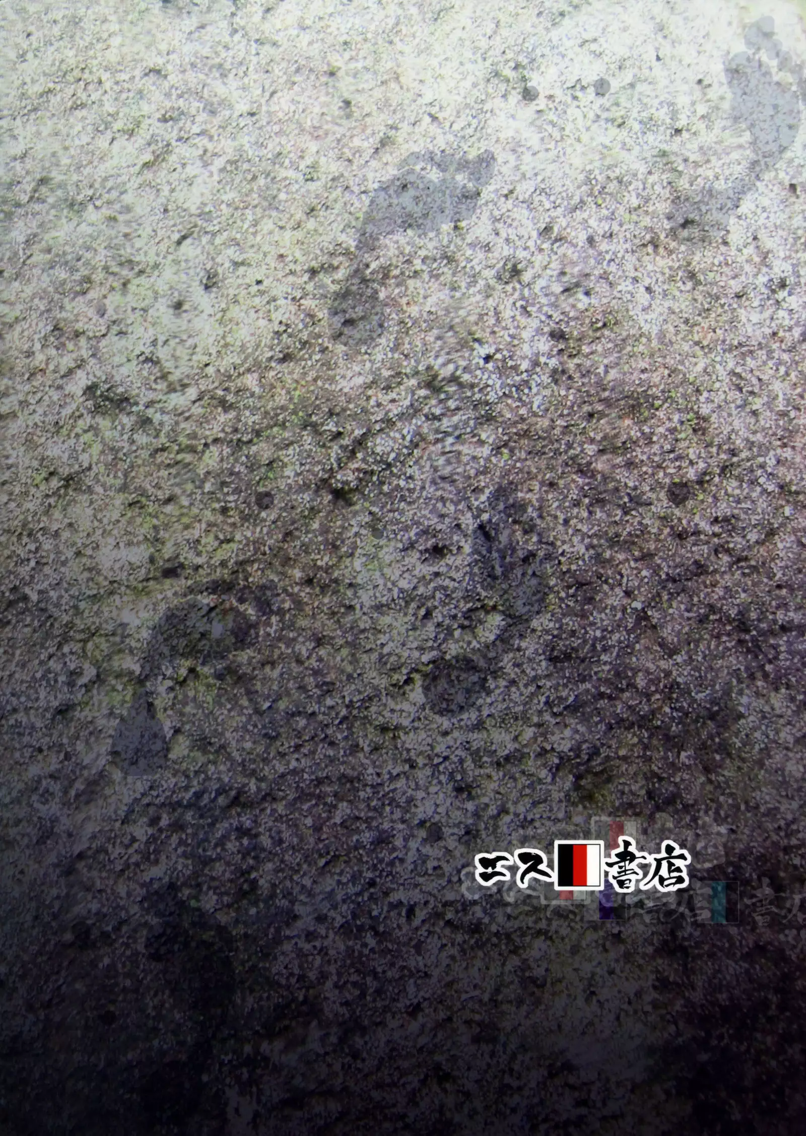 Hadashi no ashioto + Melonbooks Tokuten Clear File | 맨발의 발소리