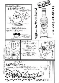 (C70) [Studio Wallaby (Nagisa Minami)] Ash no Ai | Ashe's Love (Final Fantasy XII) [English] [CGRascal]