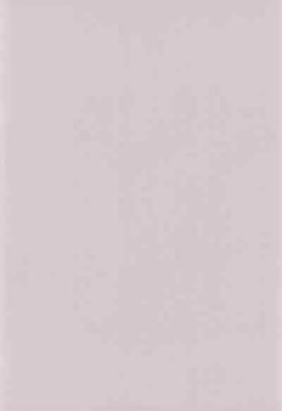 Shaoran-kun to Issho.