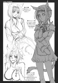 (C75) [Akai Tsubasa, 50BMG (Tachibana Chata, Shindou Nobumichi)] LOVE FOOL.09 (Final Fantasy XI)