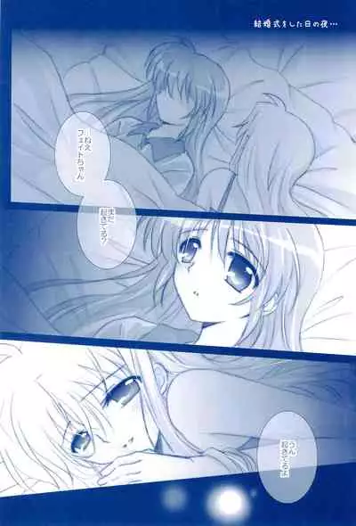 (C85) [Ameiro (Nanashiki)] Love Forever -NanoFei nano Sairoku-shuu 2- (Mahou Shoujo Lyrical Nanoha)