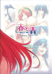 (C81) [Desuno!! (Fuyuwa Kotatsu)] Aka to Ao (Touhou Project)