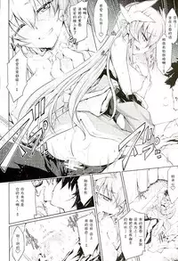 (SC2016 Winter) [Jet-Black Baselarde (Kuno Touya)] GARDEN NIGHT (Fate/Grand Order) [Chinese] [夏姬霸汉化组]