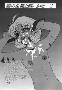 [G-TWO UNIT Reika-dou (Baron Mori)] MOVA FILE 3 - Hitomi! Diamond!! (The Vision of Escaflowne)