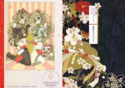 Tincle Twinkle Festival! Visual fan book "TINFESTAR!!"