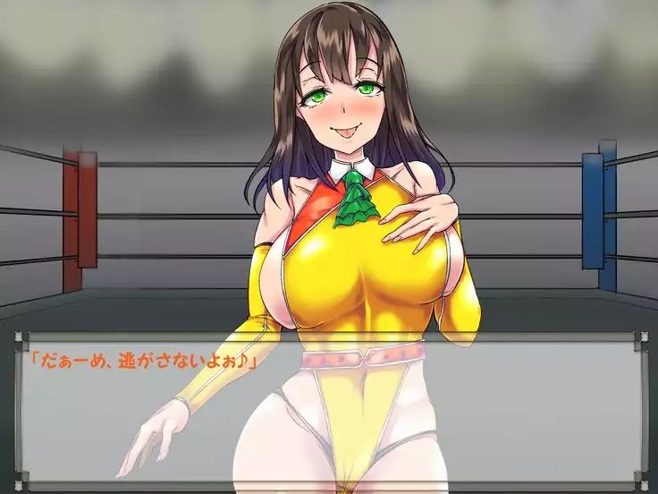 ドMプロレス2 画像集