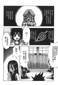 [Kishimoto Saisi] naruto ninja biography vol.09 (naruto) [chinese]