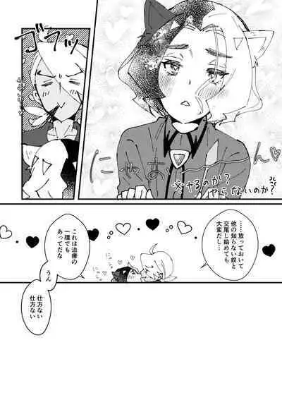 Ame ga Neko ni Narimashite